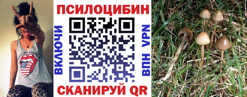 Псилоцибиновые грибы ЛСД Брюховецкая